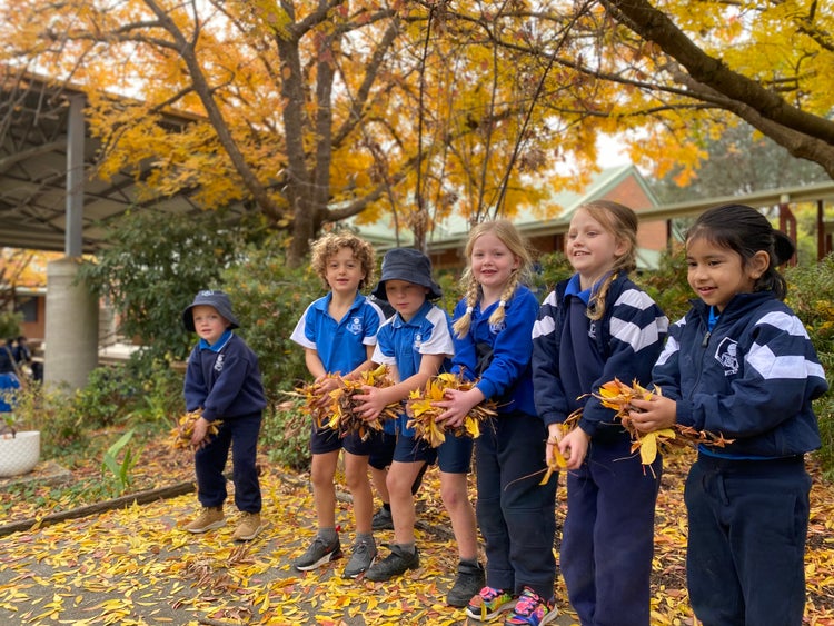 Students playing in the Autumn leaves in the playground