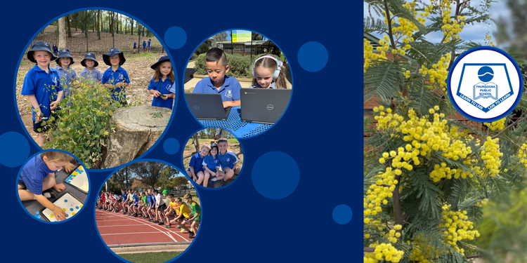 School banner with logo, photos of students and school logo surrounded by wattle