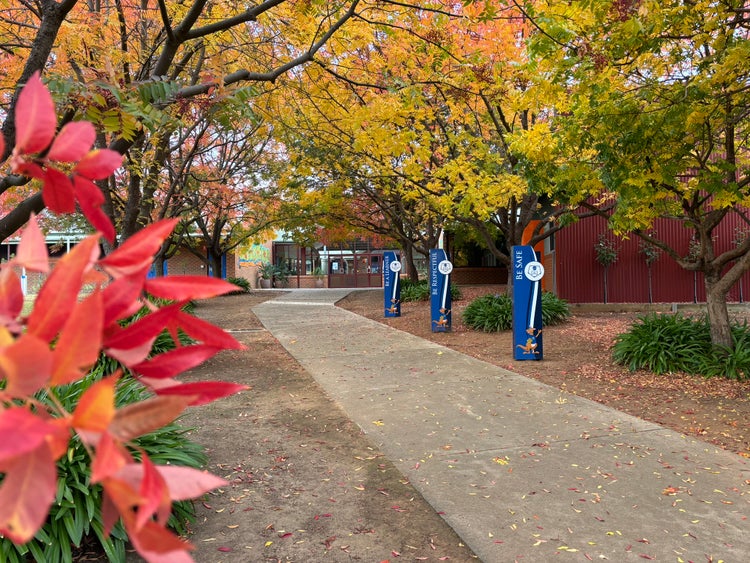 Front image of Thurgoona Public School as you walk into the school